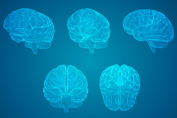 二级残疾证需要什么条件