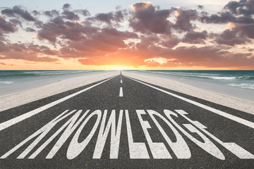 无主之地2局域网联机