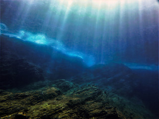 巫师3二周目鼠李草怎么扔