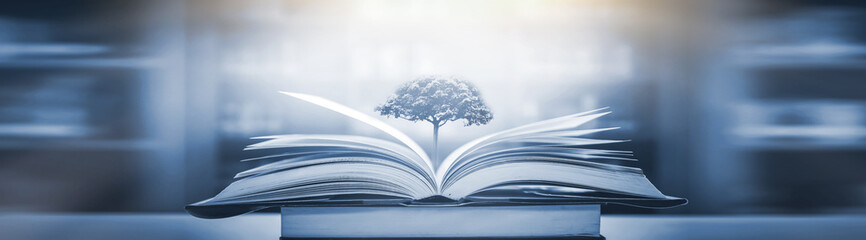 大营镇属于哪个省哪个市？