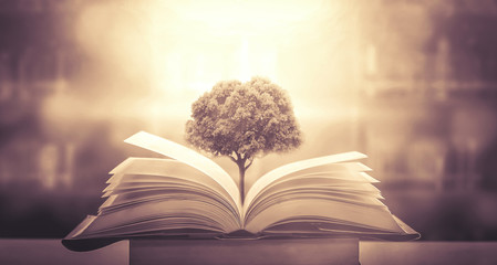 巫师3二周目鼠李草怎么扔