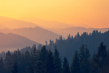 企业做决策要考虑什么