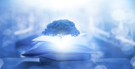 从昆明到福建坐火车到多少个小时？