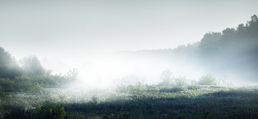 二手车怎么看车的型号