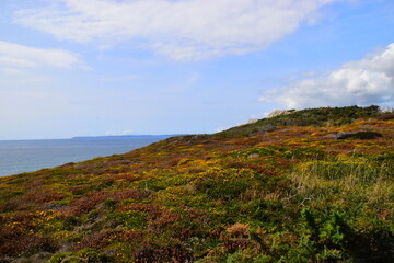 无主之地2局域网联机