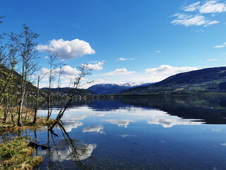 广播稿100字(生活小百科)