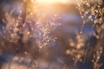 企业做决策要考虑什么