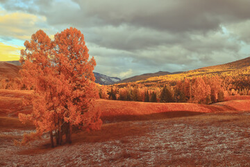 企业做决策要考虑什么