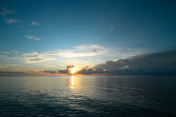 巫师3二周目鼠李草怎么扔