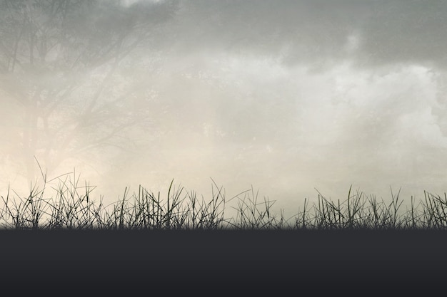 简述领导与管理的区别