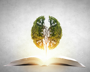 安徽一次性就业补贴申请条件