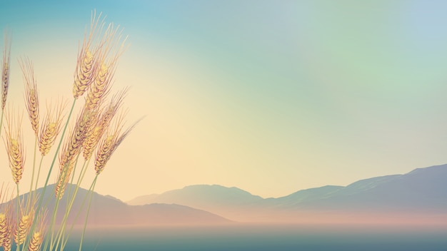 深圳哪里有摘草莓的地方？