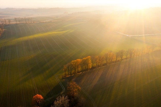 广播稿100字(生活小百科)