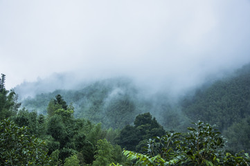 从昆明到福建坐火车到多少个小时？